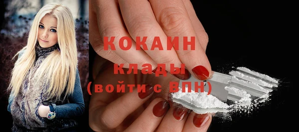стаф Белокуриха