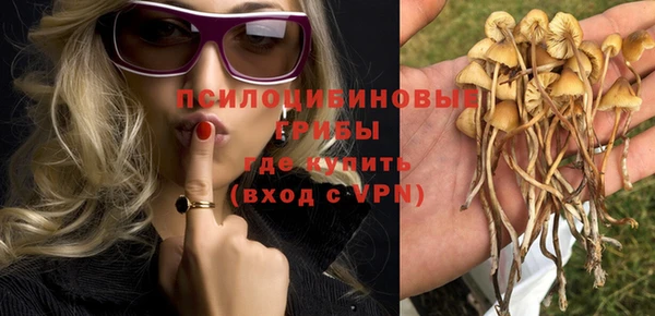 стаф Белокуриха