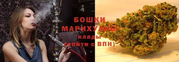 стаф Белокуриха