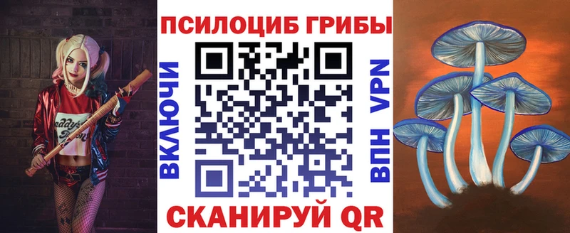 Псилоцибиновые грибы Cubensis  Кола 